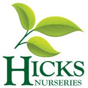 Christmas at Hicks Nursery