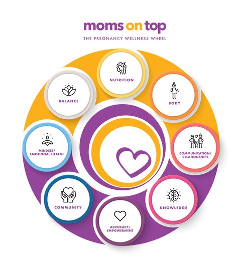 The Pregnancy Wellness Wheel