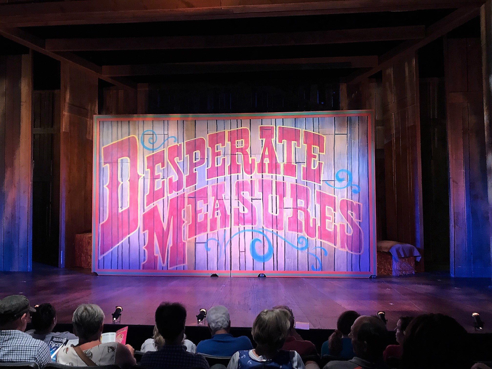 Desperate Measures Review
