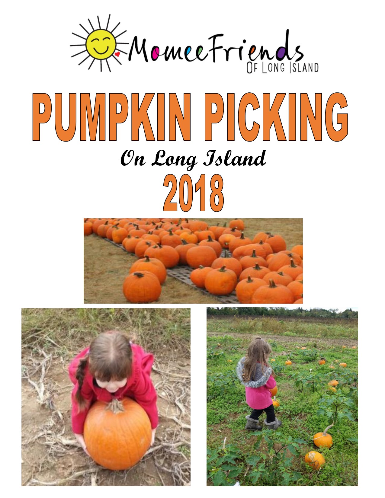 Pumpkin Picking on Long Island – 2018