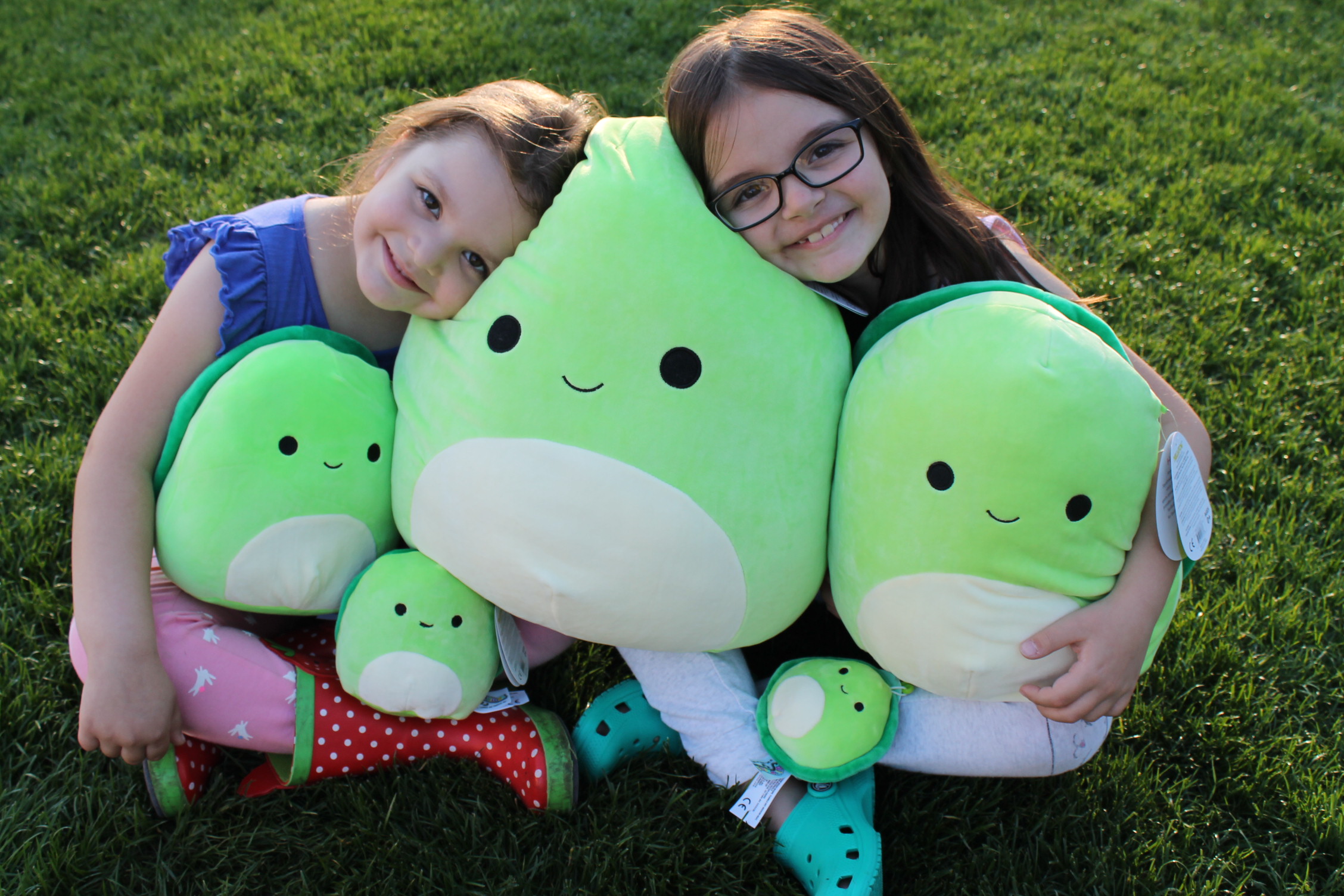 Kellytoy “Shellebrates” International World Turtle Day™