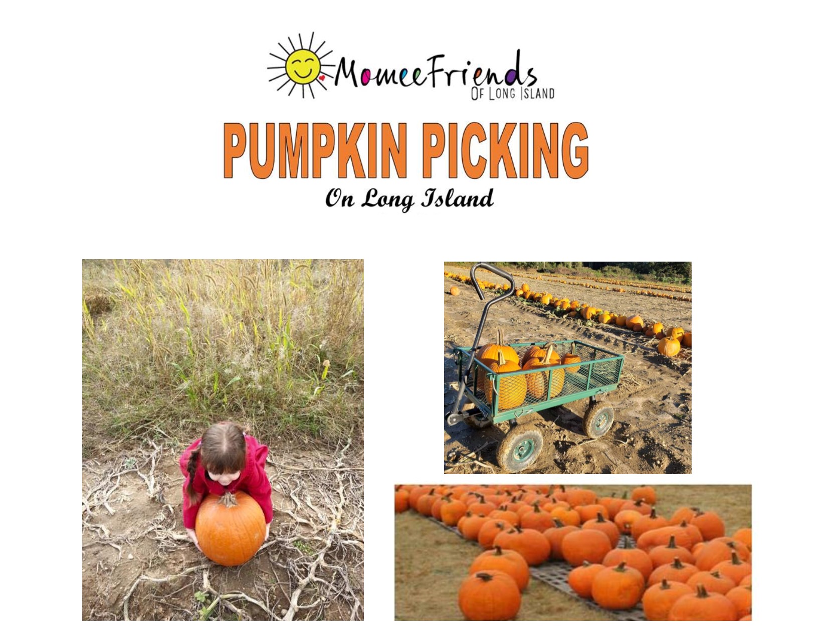 Pumpkin Picking on Long Island – 2019