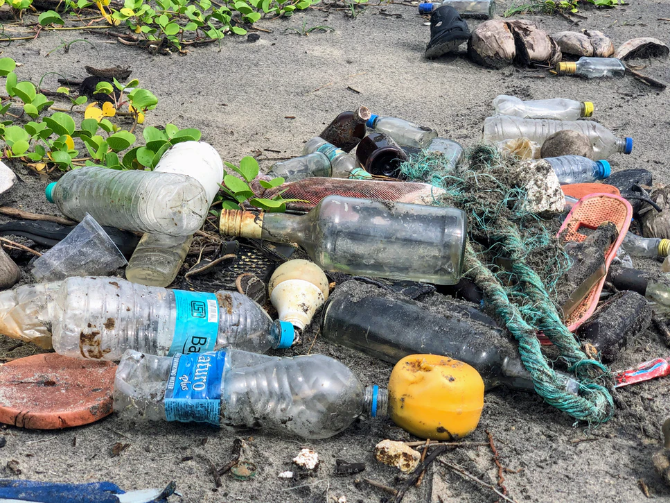 6 Simple (But Impactful) Ways To Reduce Plastic Waste