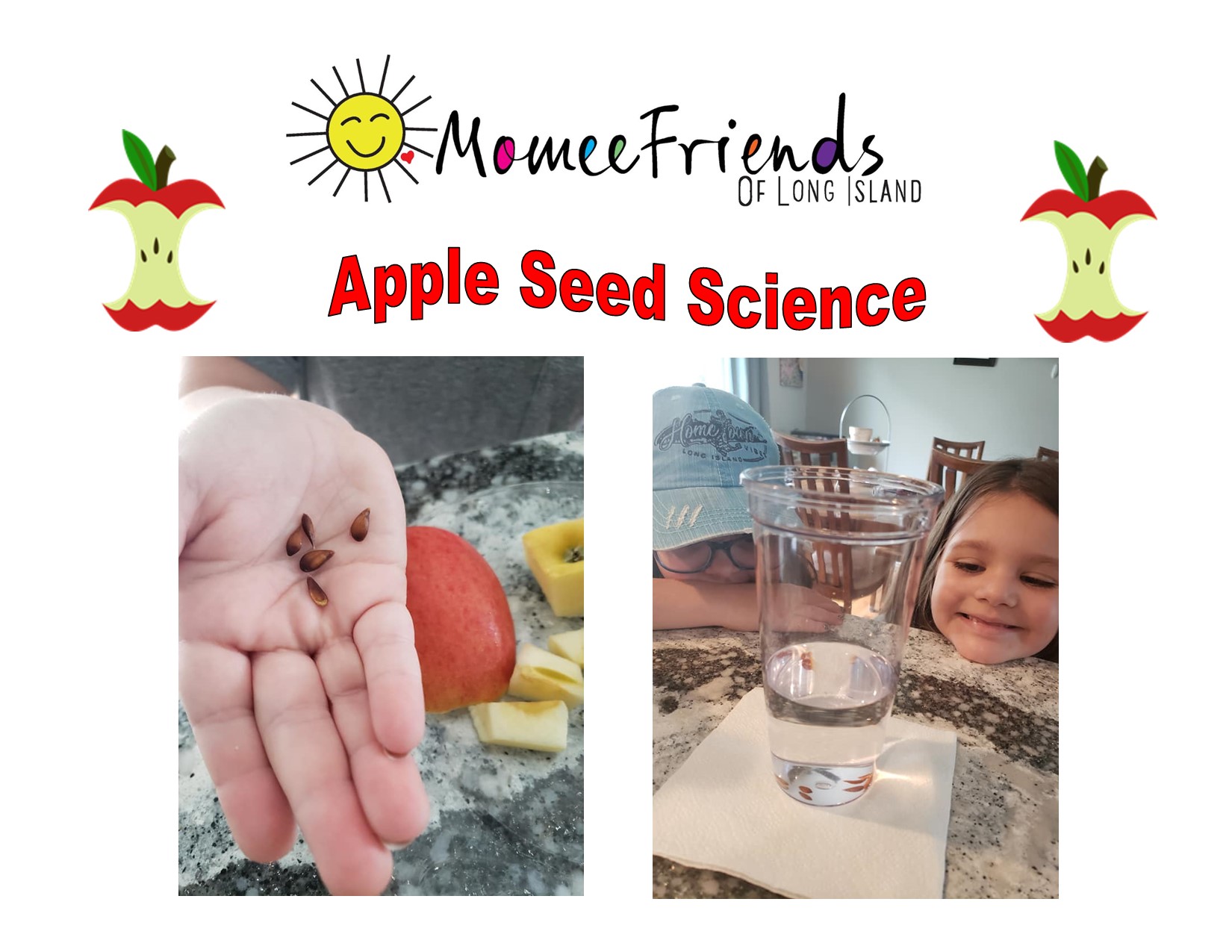 Science fun with Apple seeds