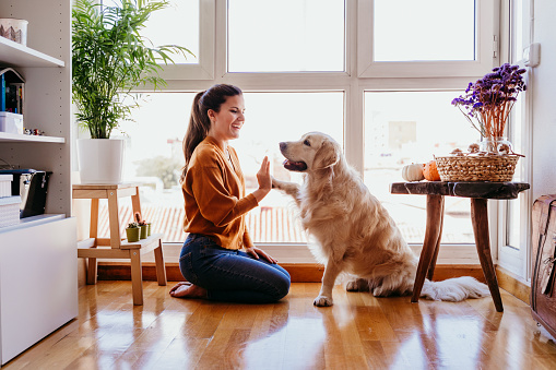 4 Tips for Living Green with your Pet
