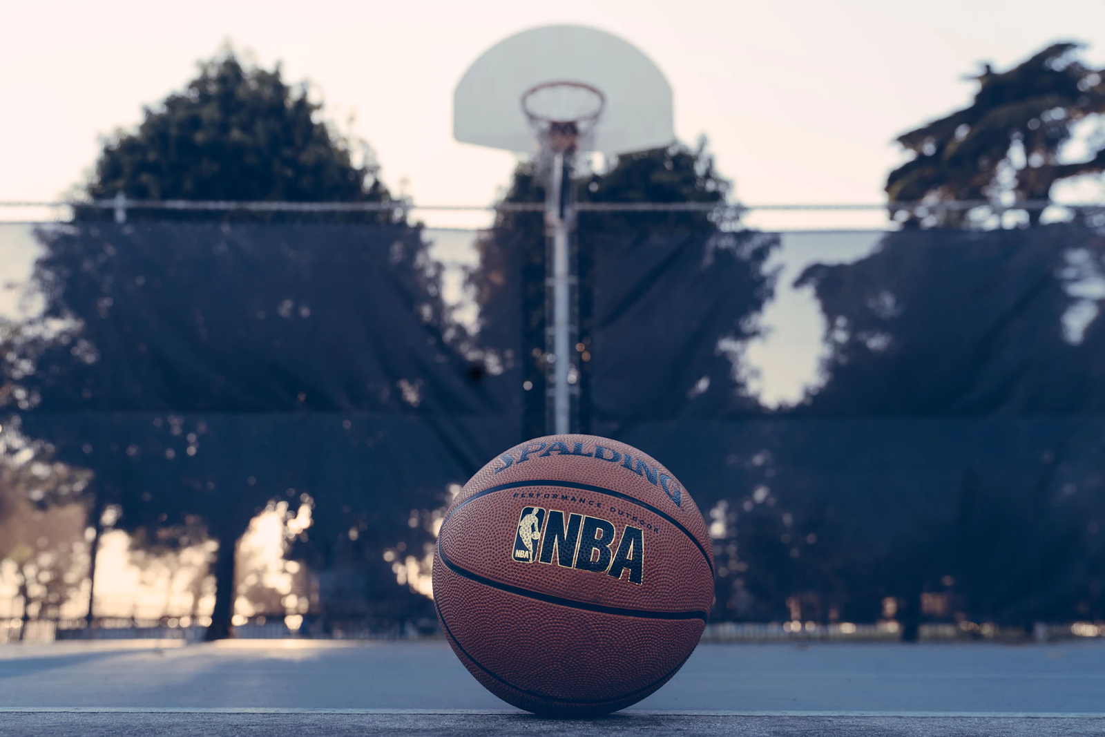 How to Enjoy a Good Game of Basketball
