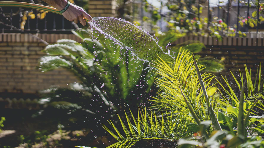 A Guide to Essential Equipment for New Gardeners