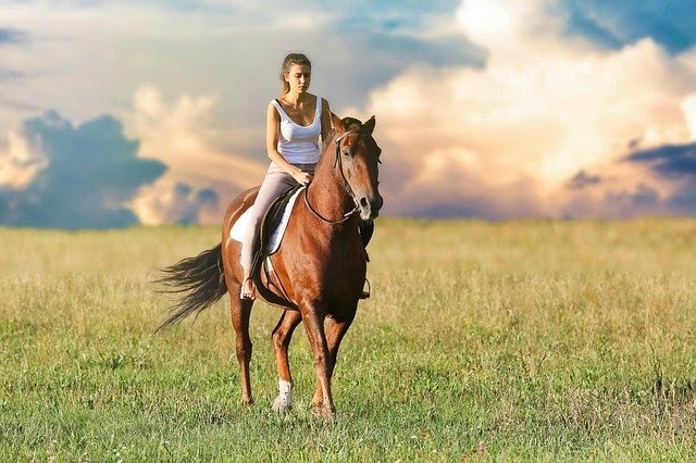 Things You Need to Know if You Want to Ride Horses