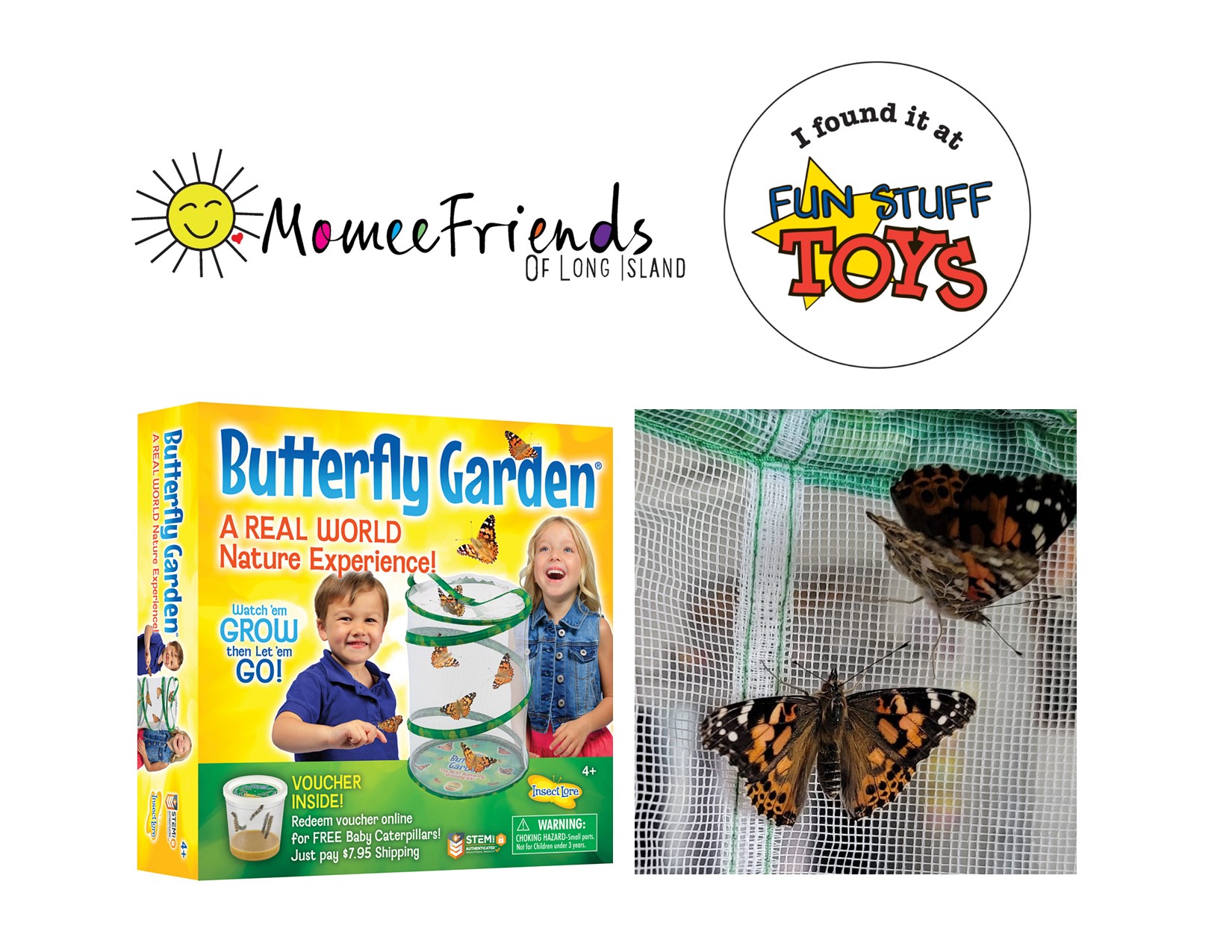 Butterfly garden