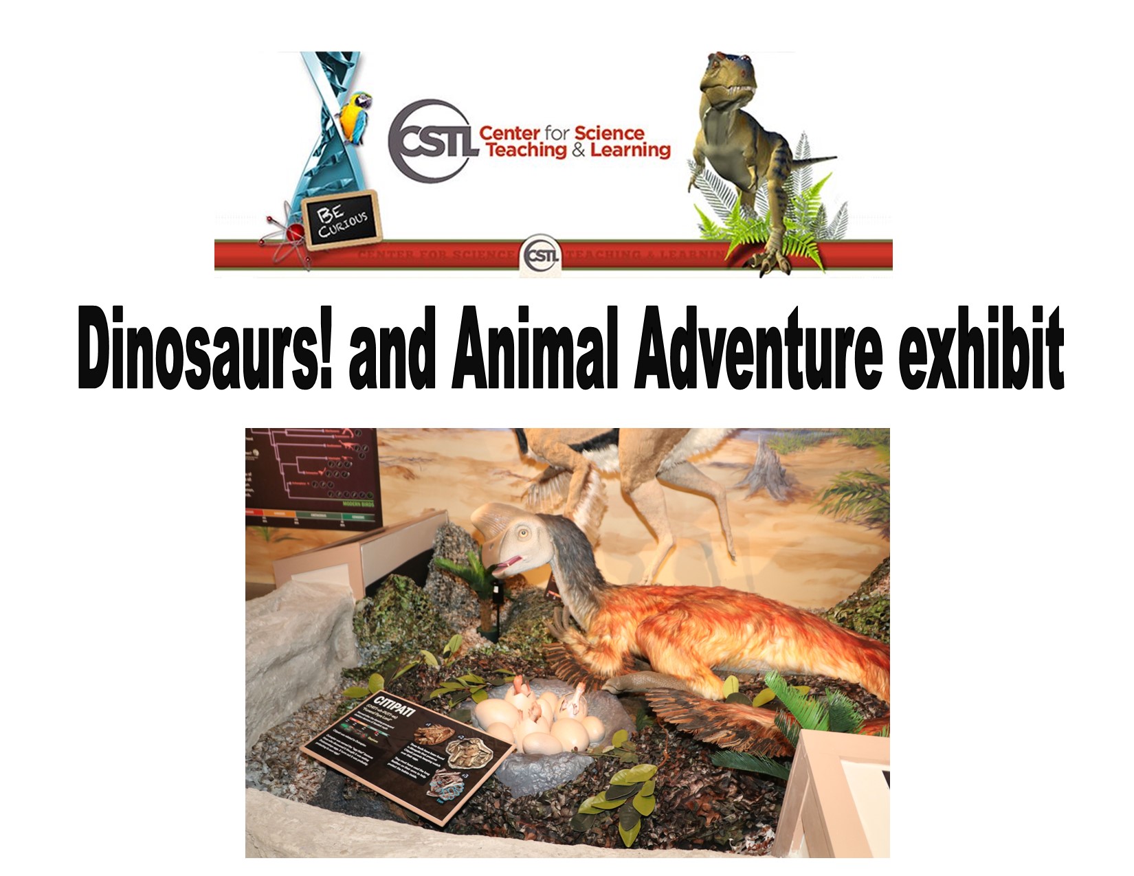 CSTL’s Dinosaurs! and Animal Adventure Expands with Five New Animatronic Dinosaurs