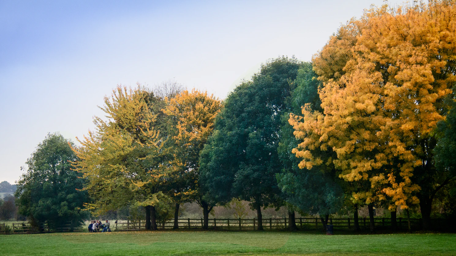 Tips for Protecting Your Home From COVID-19