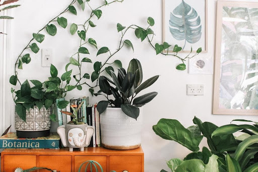 7 Small Changes to Make Your Home More Green