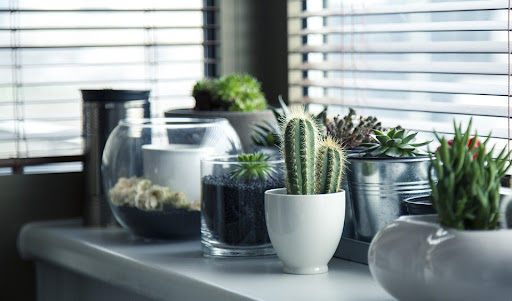 How To Decorate the Empty Space Inside Your Home? Tips and Tricks