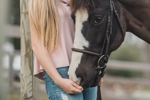 Are You A Horse Lover? Here Are Some Fascinating Facts To Brighten Up Your Day