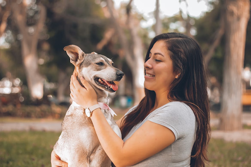 How to Take Care of Your Pets: Useful Vet Tips to Help You