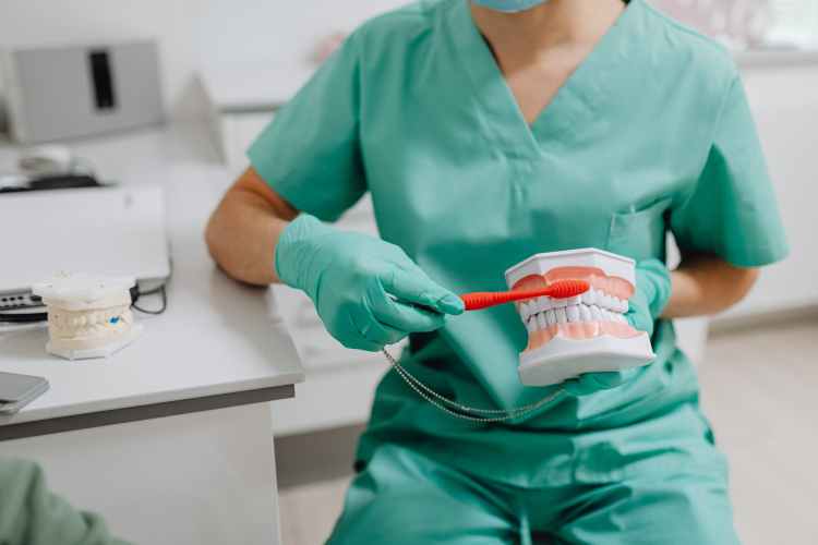 photo of a dentist demonstrating how to brush teeth