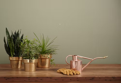 How To Take Care Of An Indoor Green Garden