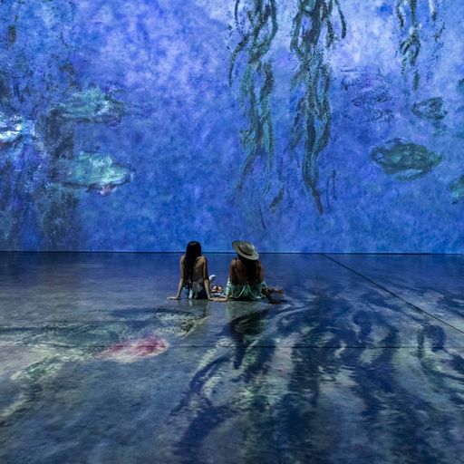 Beyond Monet coming to Long Island