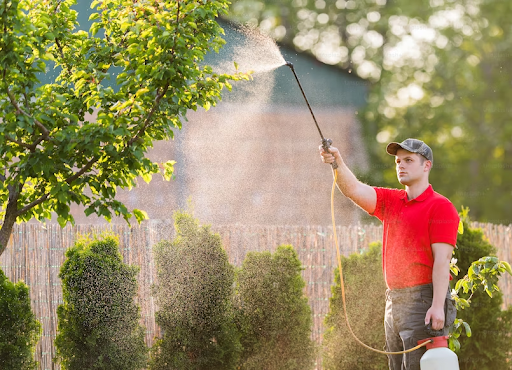 The Crucial Role Of Pest Control In A Professional Environment