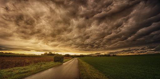 Cleaning Up After a Storm