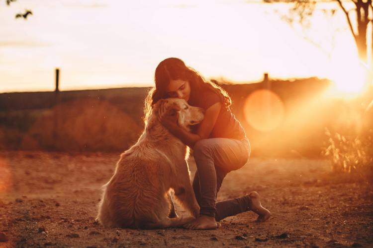 Top 5 Misconceptions Pet Parents Have About ESA Letters
