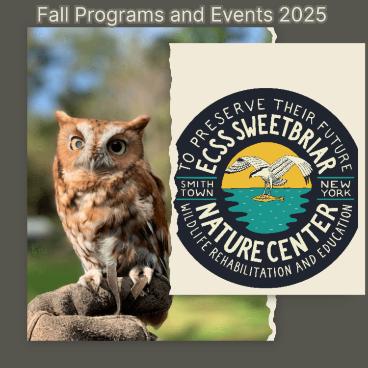 Fall Programs at Sweetbriar Nature Center