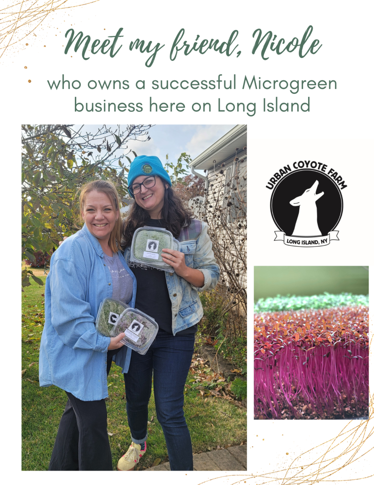 Meet Urban Coyote Farm and her Microgreen Business