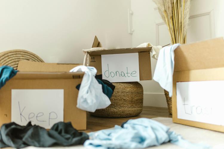 Creating Calm Living Spaces for Healthier Families