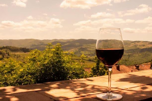 What Makes Sonoma Wine Tours Different from Napa Wine Experiences