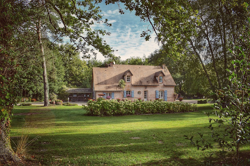 Is Your Backyard too Pretty to Actually Use?