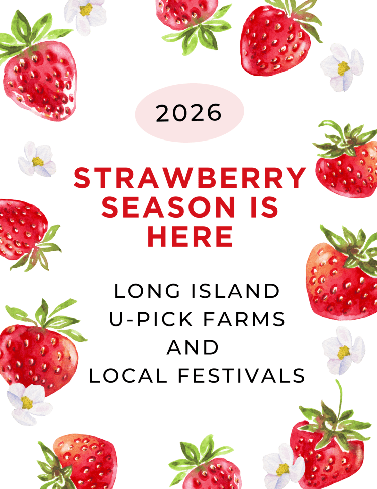 Strawberry Picking on Long Island 2026