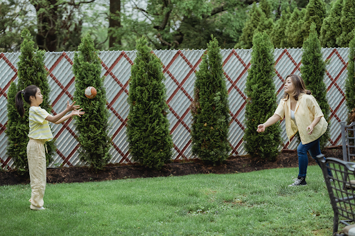 How Soft Landscaping Can Transform Your Family’s Outdoor Space