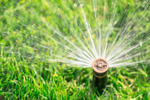 Planning A Yard That Grows With You Into Retirement