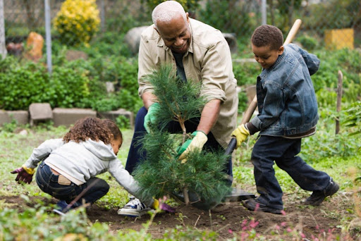 Your Backyard Is A Living Ecosystem: Here’s How To Help It Thrive