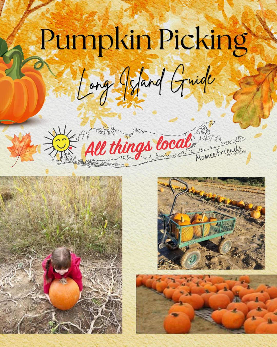Pumpkin Picking Guide 2026- Long Island Farms
